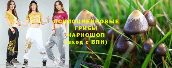 гидропоника Армянск
